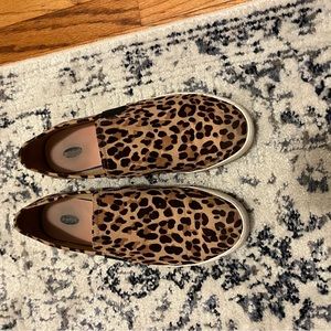 Cheetah Dr. Scholls